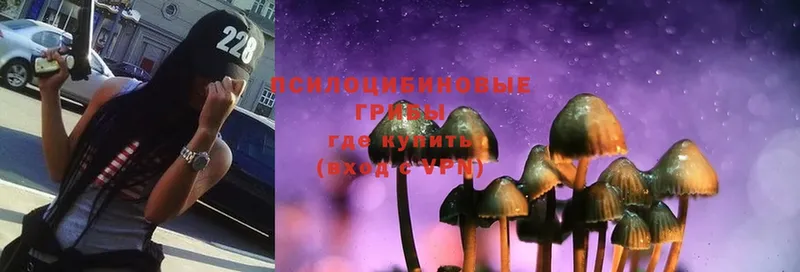 Псилоцибиновые грибы Magic Shrooms  где купить   Воронеж 